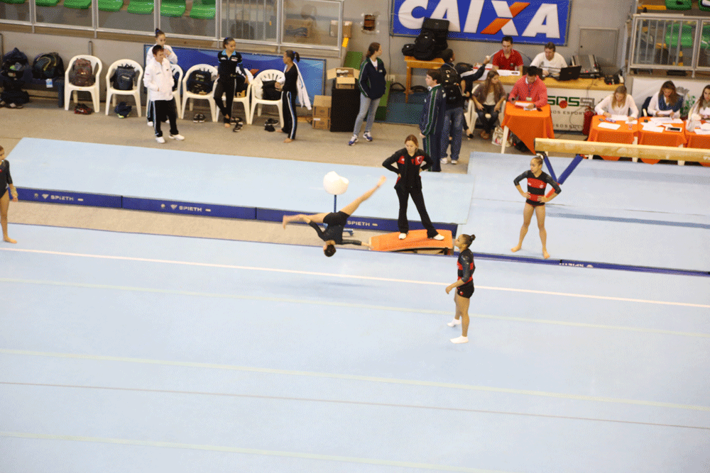 Imagem Galeria
